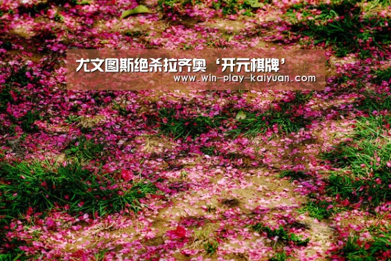 开元体育官网